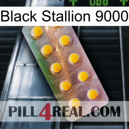 Black Stallion 9000 new11